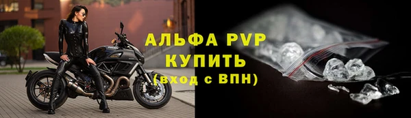 дживик Касимов