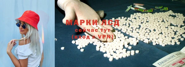 дживик Касимов